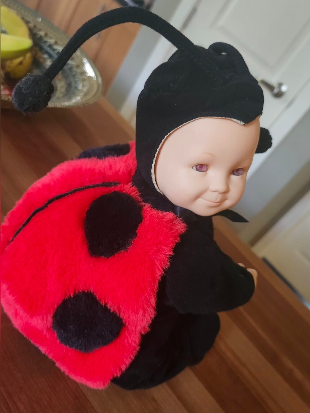 Adorable Vtg Anne Geddes Plush Ladybug Doll 16"